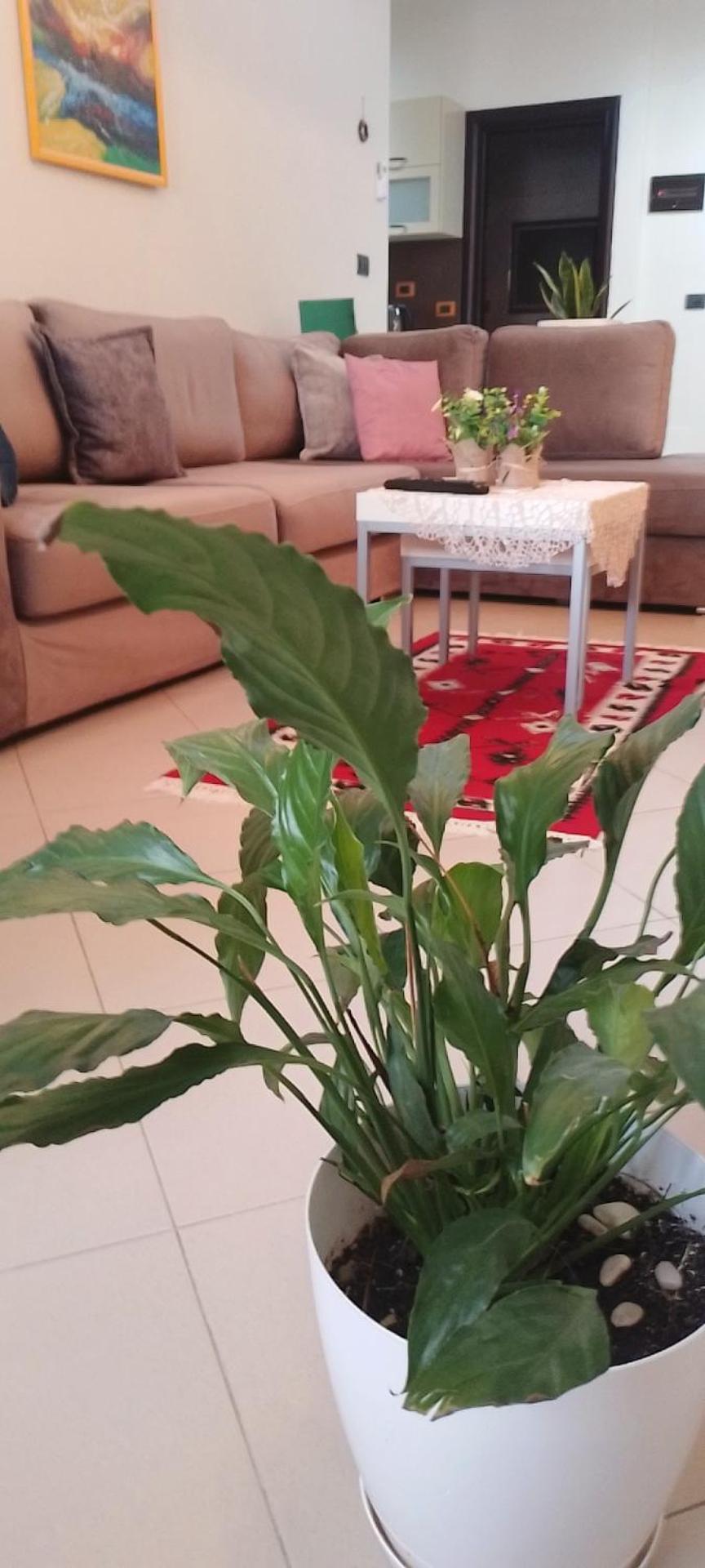 Bora Home Albania Me Vetsherbim 24 Ore Prane Liqenit Tiranë Ngoại thất bức ảnh